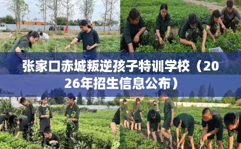 张家口赤城叛逆孩子特训学校（2026年招生信息公布）