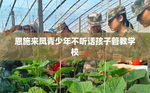 恩施来凤青少年不听话孩子管教学校
