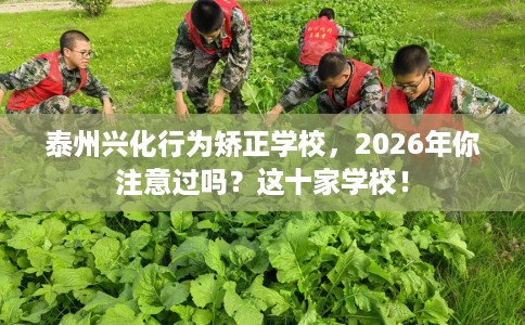 泰州兴化行为矫正学校，2026年你注意过吗？这十家学校！