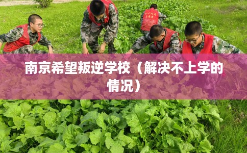 南京希望叛逆学校（解决不上学的情况）