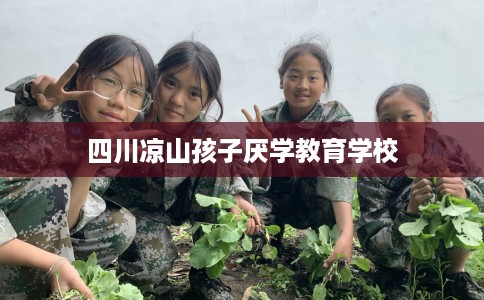 四川凉山孩子厌学教育学校
