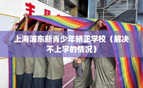 上海浦东新青少年矫正学校（解决不上学的情况）
