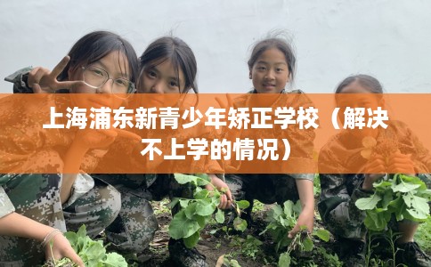 上海浦东新青少年矫正学校（解决不上学的情况）