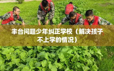 丰台问题少年纠正学校（解决孩子不上学的情况）