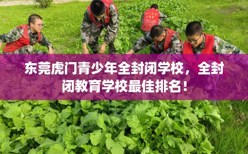 东莞虎门青少年全封闭学校，全封闭教育学校最佳排名！