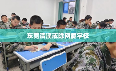 东莞清溪戒除网瘾学校