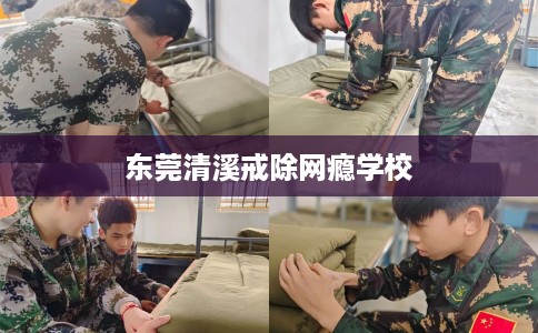 东莞清溪戒除网瘾学校