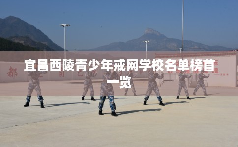 宜昌西陵青少年戒网学校名单榜首一览