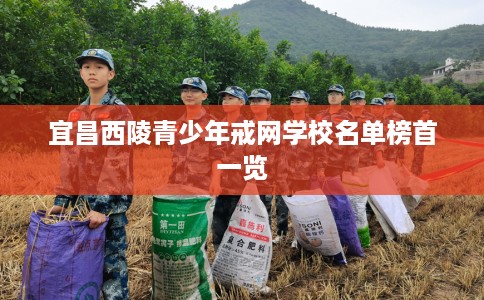 宜昌西陵青少年戒网学校名单榜首一览