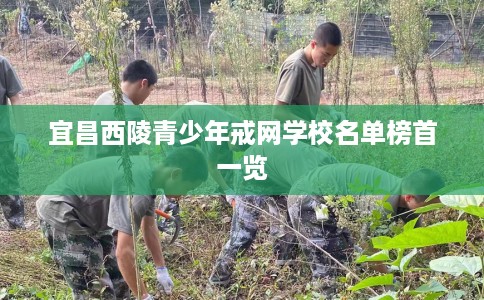 宜昌西陵青少年戒网学校名单榜首一览