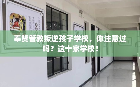 奉贤管教叛逆孩子学校，你注意过吗？这十家学校！