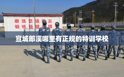宣城郎溪哪里有正规的特训学校