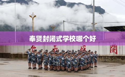 奉贤封闭式学校哪个好