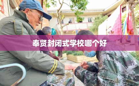 奉贤封闭式学校哪个好