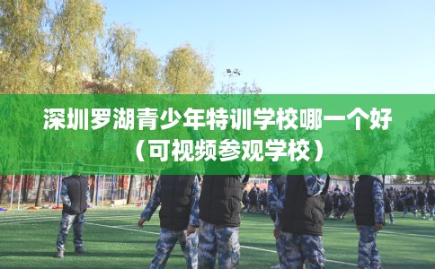 深圳罗湖青少年特训学校哪一个好（可视频参观学校）