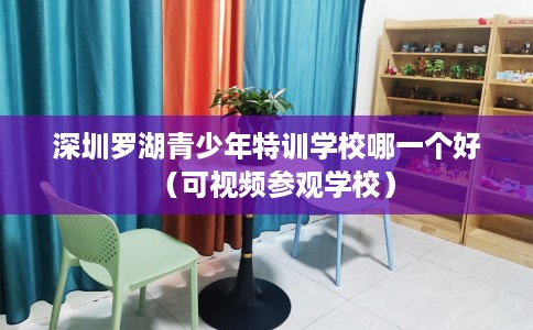 深圳罗湖青少年特训学校哪一个好（可视频参观学校）
