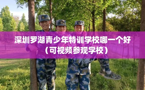 深圳罗湖青少年特训学校哪一个好（可视频参观学校）