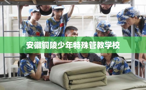 安徽铜陵少年特殊管教学校