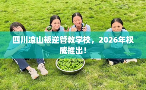 四川凉山叛逆管教学校，2026年权威推出！