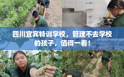 四川宜宾特训学校，管理不去学校的孩子，值得一看！