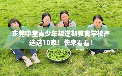 东莞中堂青少年叛逆期教育学校严选这10家！快来看看！