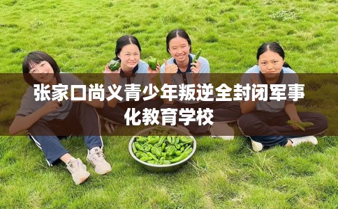 张家口尚义青少年叛逆全封闭军事化教育学校