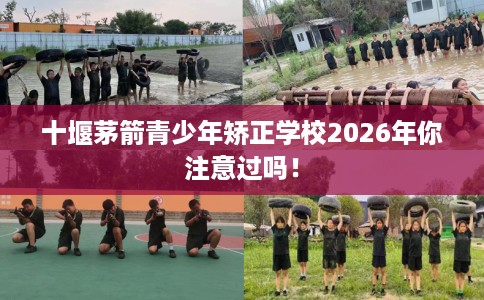 十堰茅箭青少年矫正学校2026年你注意过吗！