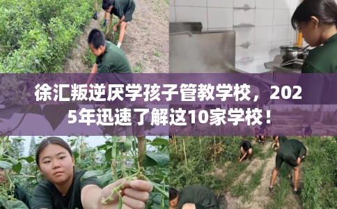 徐汇叛逆厌学孩子管教学校，2025年迅速了解这10家学校！