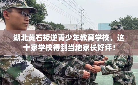 湖北黄石叛逆青少年教育学校，这十家学校得到当地家长好评！