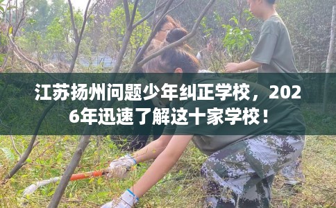 江苏扬州问题少年纠正学校，2026年迅速了解这十家学校！