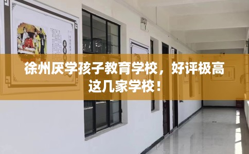 徐州厌学孩子教育学校，好评极高这几家学校！