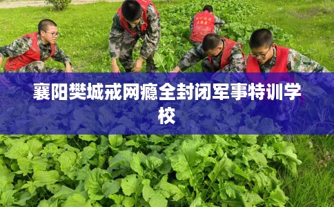 襄阳樊城戒网瘾全封闭军事特训学校