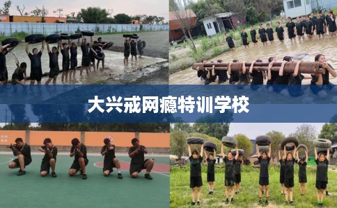 大兴戒网瘾特训学校