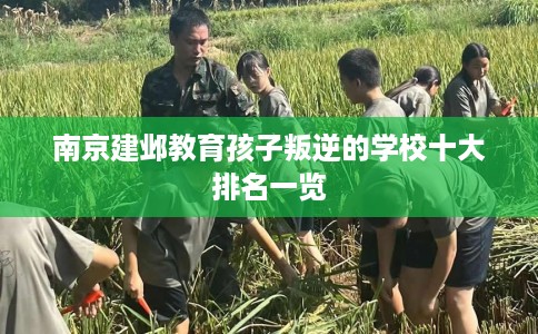 南京建邺教育孩子叛逆的学校十大排名一览