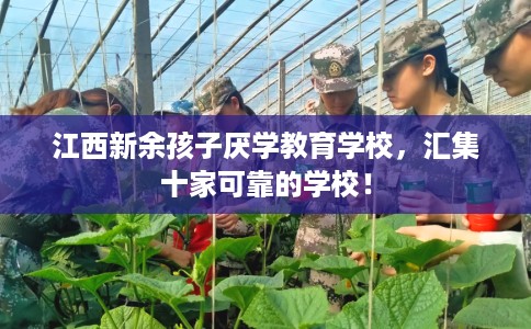 江西新余孩子厌学教育学校，汇集十家可靠的学校！