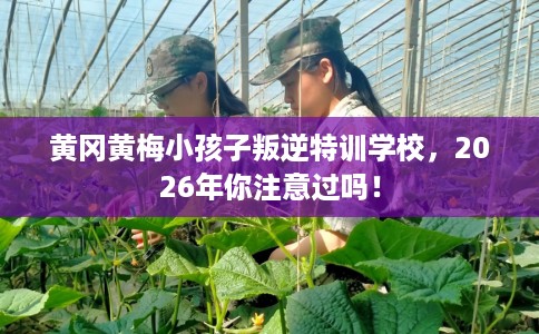黄冈黄梅小孩子叛逆特训学校，2026年你注意过吗！