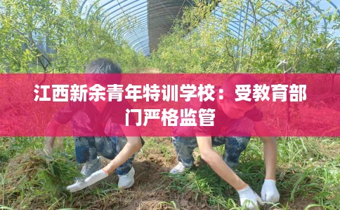 江西新余青年特训学校：受教育部门严格监管