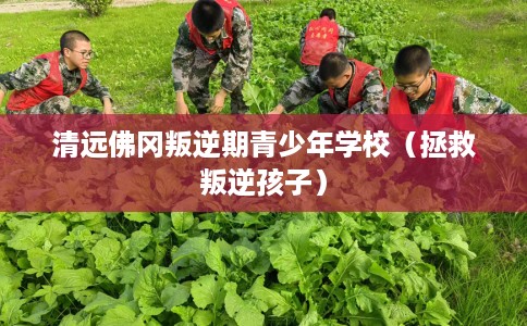 清远佛冈叛逆期青少年学校（拯救叛逆孩子）