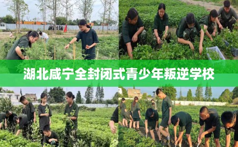湖北咸宁全封闭式青少年叛逆学校