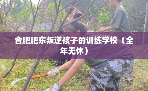 合肥肥东叛逆孩子的训练学校（全年无休）