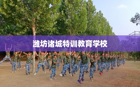 潍坊诸城特训教育学校