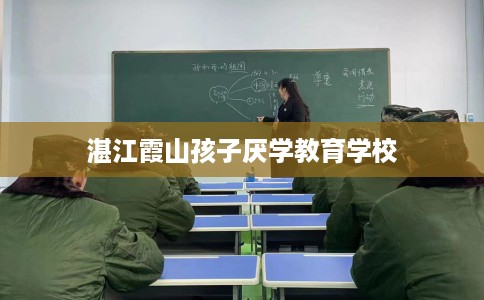 湛江霞山孩子厌学教育学校