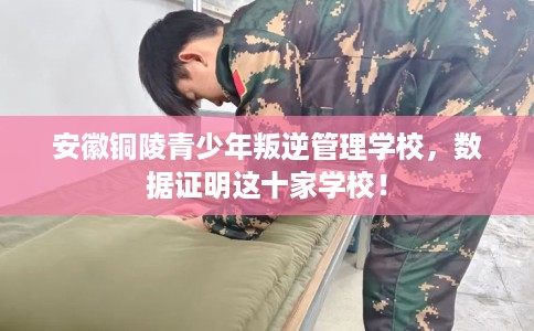 安徽铜陵青少年叛逆管理学校，数据证明这十家学校！