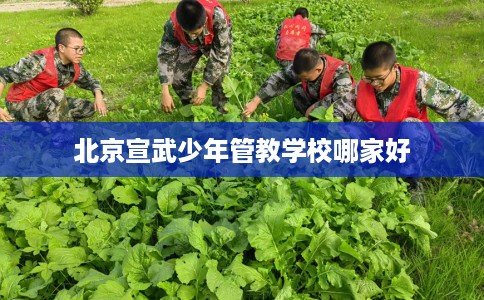 北京宣武少年管教学校哪家好