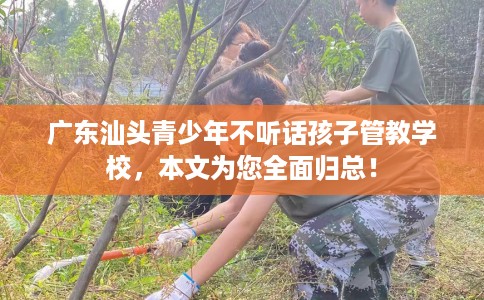 广东汕头青少年不听话孩子管教学校，本文为您全面归总！