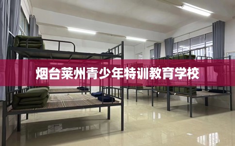 烟台莱州青少年特训教育学校
