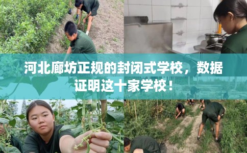 河北廊坊正规的封闭式学校，数据证明这十家学校！