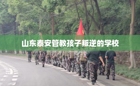 山东泰安管教孩子叛逆的学校