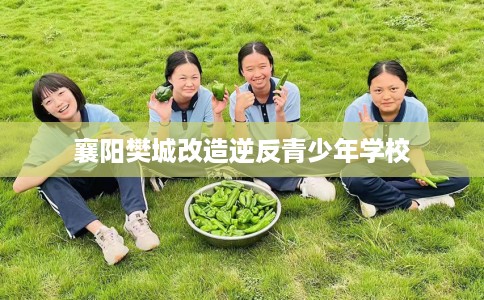 襄阳樊城改造逆反青少年学校