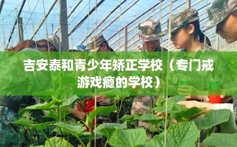 吉安泰和青少年矫正学校（专门戒游戏瘾的学校）